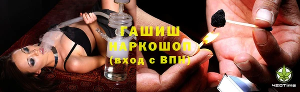 гидра Киреевск