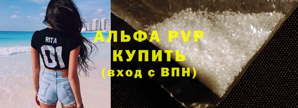 дживик Касимов