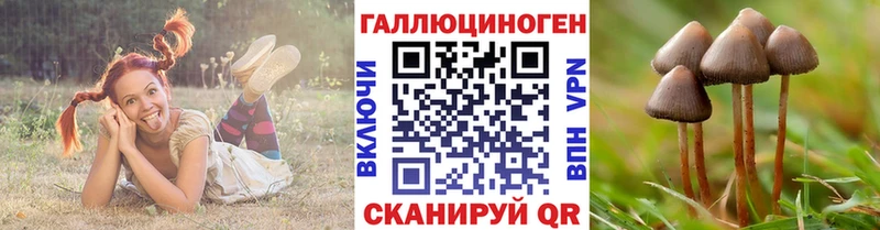 Купить где  Вятские Поляны  Галлюциногенные грибы мицелий 